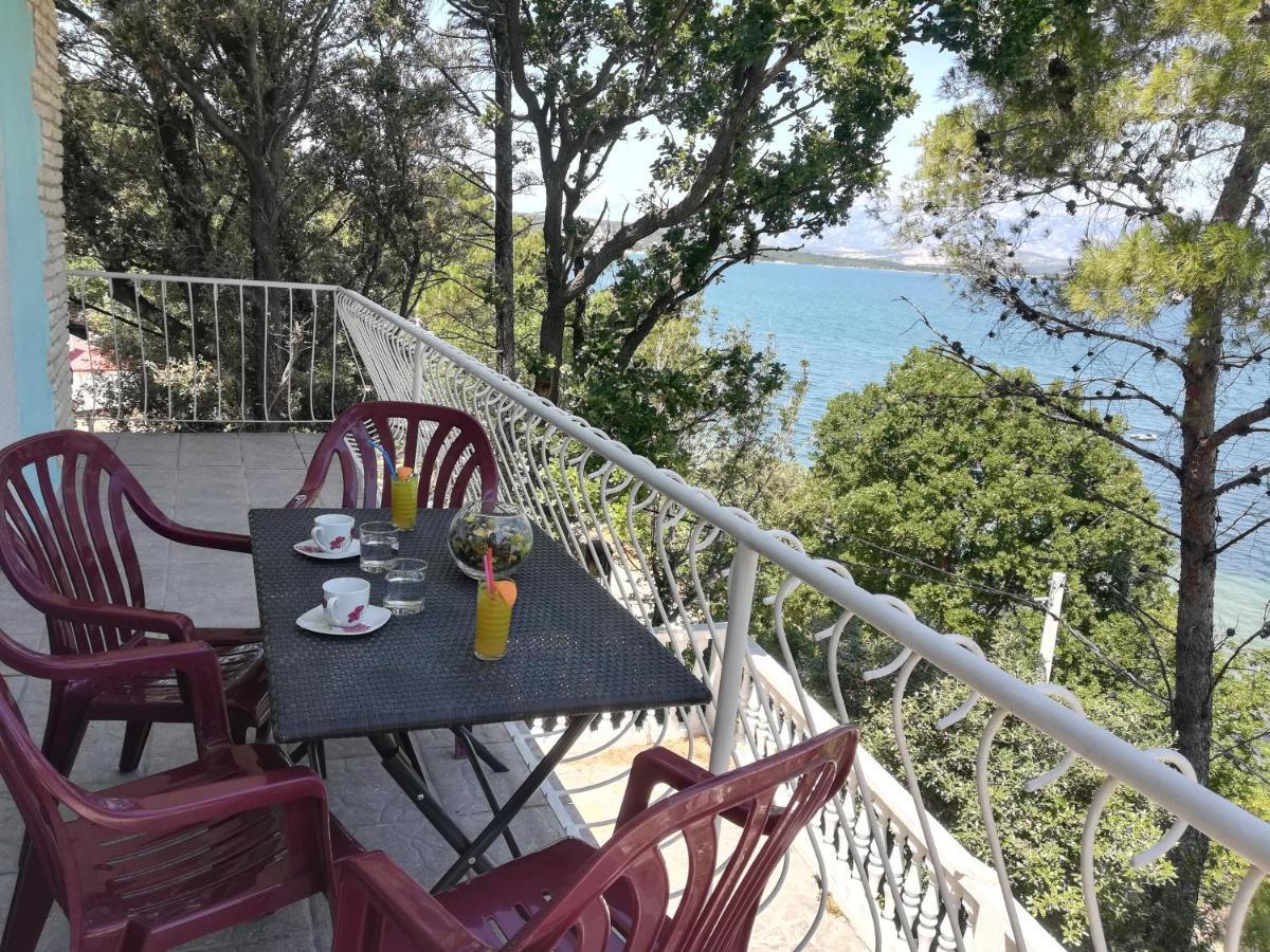 Apartman Volarevic Donji Karin Luaran gambar